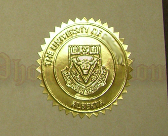 Fake Diploma International Embossed Gold Foil Seal